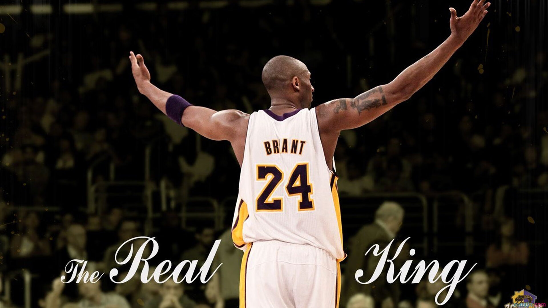 全明星赛最新形势：上海申花高居榜首，波士顿凯尔特人强势追赶，冠军归属成迷的简单介绍